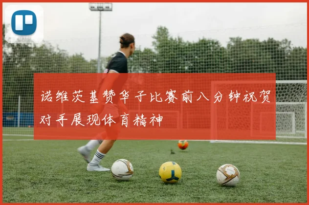 诺维茨基赞华子比赛前八分钟祝贺对手展现体育精神